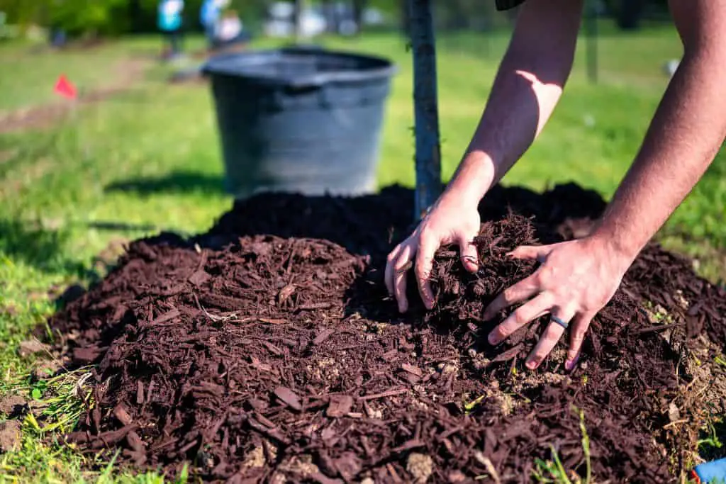 Calculate The Mulch You Need