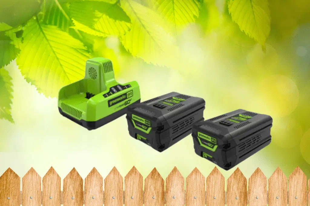 Greenworks Battery Capacity